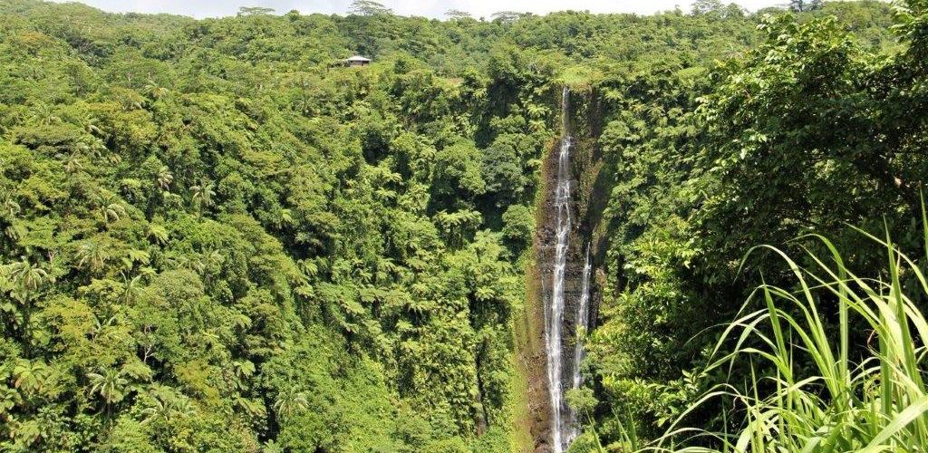 Studienreise - Wasserfall im Regenwald - Samoa