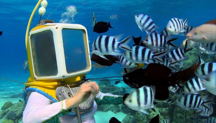 Ausflug Aquasafari Bora Bora - Helmet Dive - Tahiti