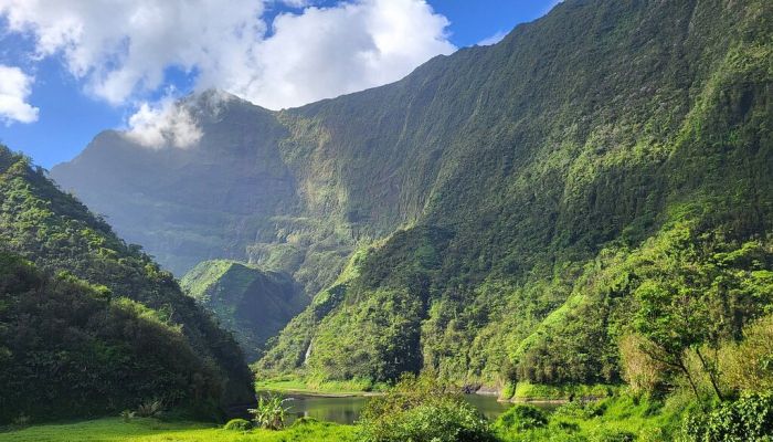 Ausflug Tahiti Discovery Geländewagensafari - Papenoo-Tal - Tahiti